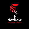 Netflow.cv Logo
